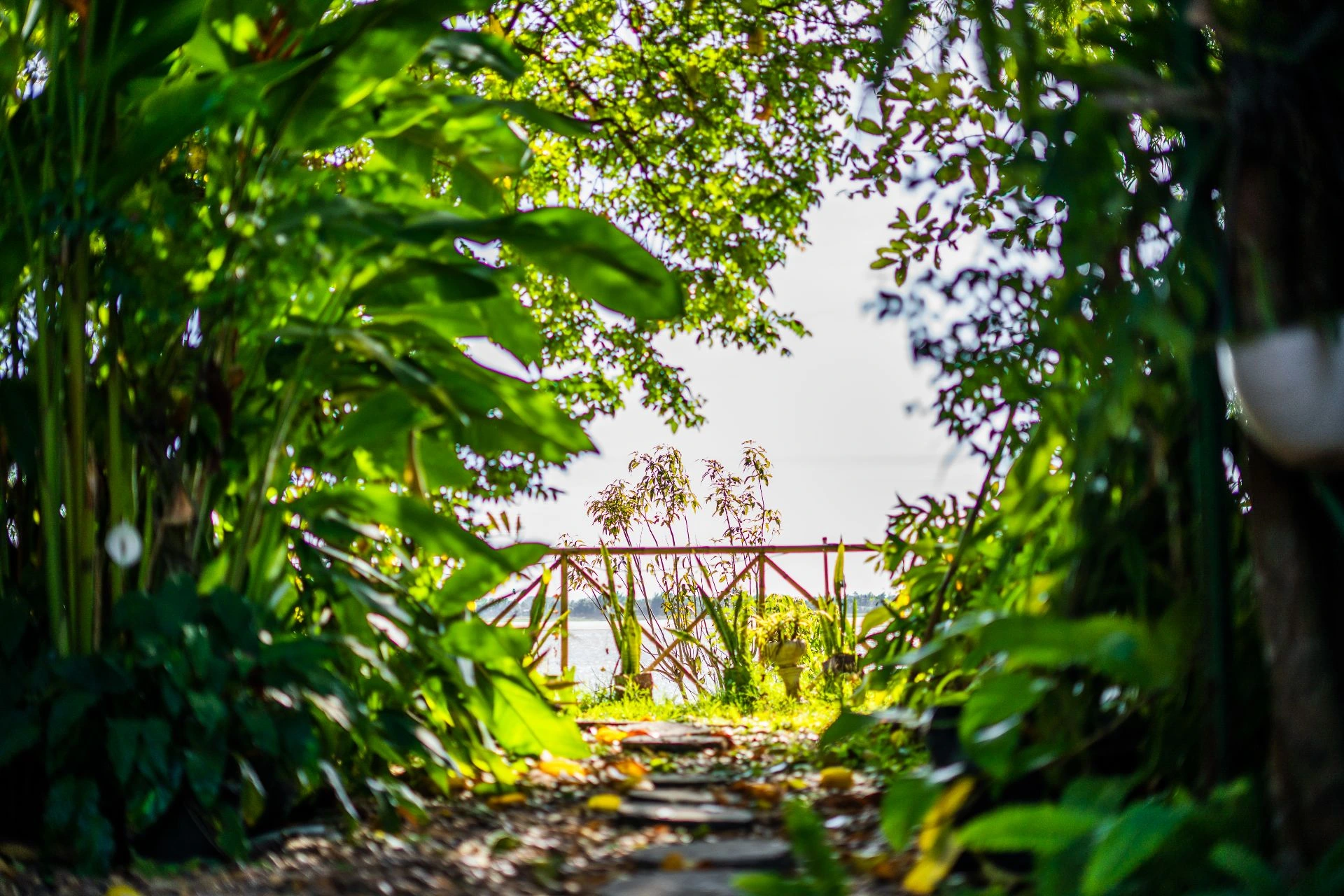 Galeriebild – Nakorn River View 4